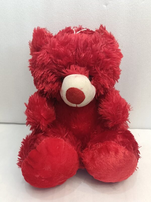 THE MODERN TREND Red teddy bear for birthday gift valentines - 50 cm  (Multicolor)