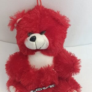 Love Heart Teddy Bear 8 CM   (Red)