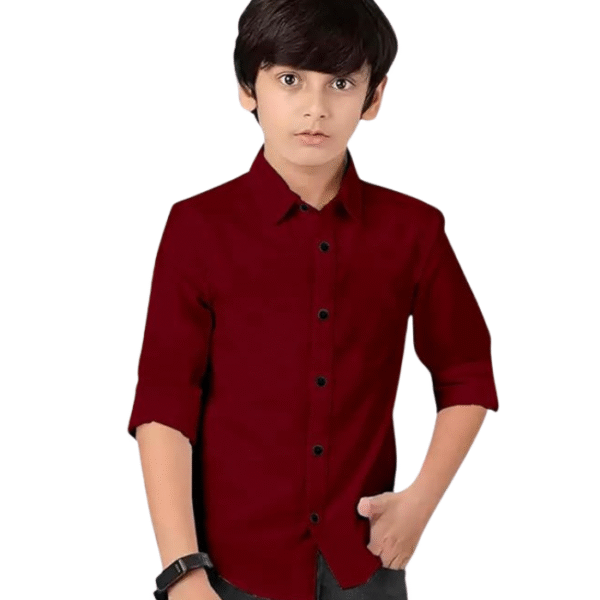 U.S. POLO ASSN. Baby Boys Cotton Regular Fit Shirt