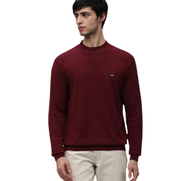 Klub Fox Men Casual High Neck Winter Solid Regular Fit Full Sleeve Sweater