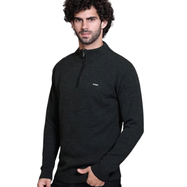 GODFREY Full Sleeve Winter Sweaters for Men