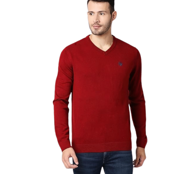 Pepe Jeans Men's Acrylic Blend Classic V-Neck Sweater