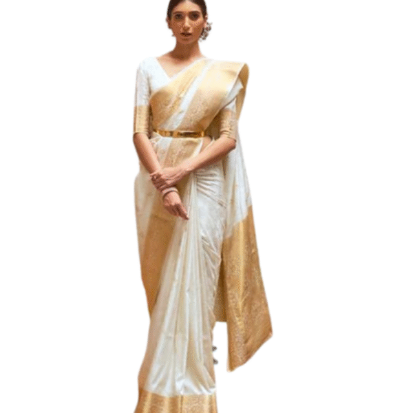 SWORNOF Women's kanjivaram banarasi silk saree